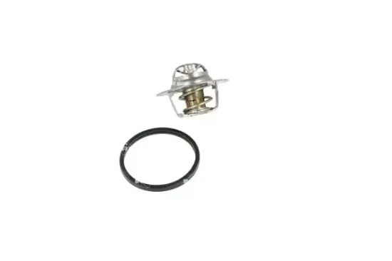 Thermostat, Kühlmittel NRF 725156 Bild Thermostat, Kühlmittel NRF 725156