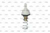 Thermostat, Kühlmittel NRF 725195 Bild Thermostat, Kühlmittel NRF 725195