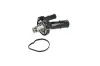 Thermostat, Kühlmittel NRF 725202 Bild Thermostat, Kühlmittel NRF 725202