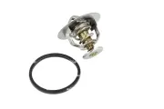 Thermostat, Kühlmittel NRF 725246