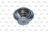 Thermostat, Kühlmittel NRF 725255 Bild Thermostat, Kühlmittel NRF 725255