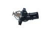 Thermostat, K&uuml;hlmittel NRF 725301