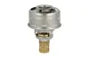 Thermostat, Kühlmittel NRF 725304 Bild Thermostat, Kühlmittel NRF 725304