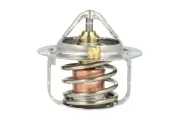 Thermostat, Kühlmittel NRF 725385