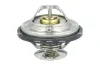 Thermostat, K&uuml;hlmittel NRF 725478