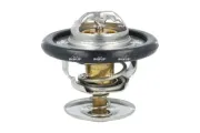 Thermostat, Kühlmittel NRF 725509