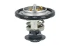 Thermostat, Kühlmittel NRF 725524 Bild Thermostat, Kühlmittel NRF 725524
