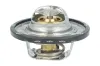 Thermostat, K&uuml;hlmittel NRF 725528