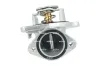 Thermostat, K&uuml;hlmittel NRF 725538