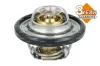 Thermostat, K&uuml;hlmittel NRF 725544