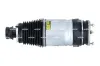 Luftfederbein vorne NRF 830003 Bild Luftfederbein vorne NRF 830003