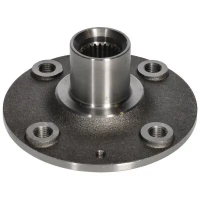 Radnabe Vorderachse links Vorderachse rechts BIRTH 3621 Bild Radnabe Vorderachse links Vorderachse rechts BIRTH 3621