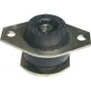 Lagerung, Motor Vorderachse BIRTH 5358