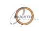Dichtring TRUCKTEC AUTOMOTIVE 02.13.114
