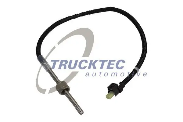 Sensor, Abgastemperatur TRUCKTEC AUTOMOTIVE 02.17.163