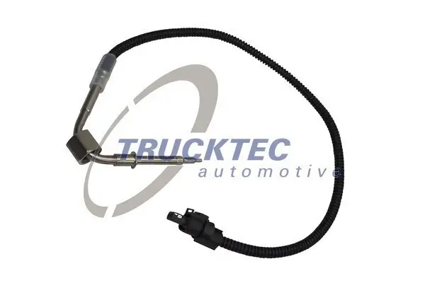 Sensor, Abgastemperatur TRUCKTEC AUTOMOTIVE 02.17.205