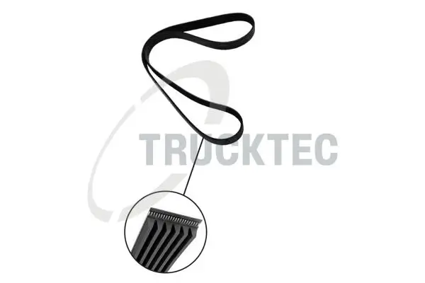 Keilrippenriemen TRUCKTEC AUTOMOTIVE 02.19.034