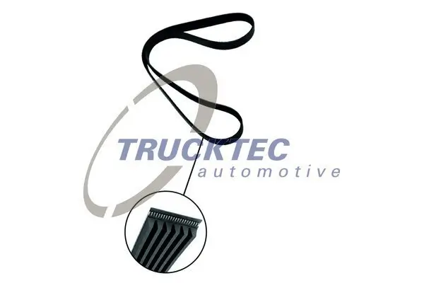 Keilrippenriemen TRUCKTEC AUTOMOTIVE 02.19.314