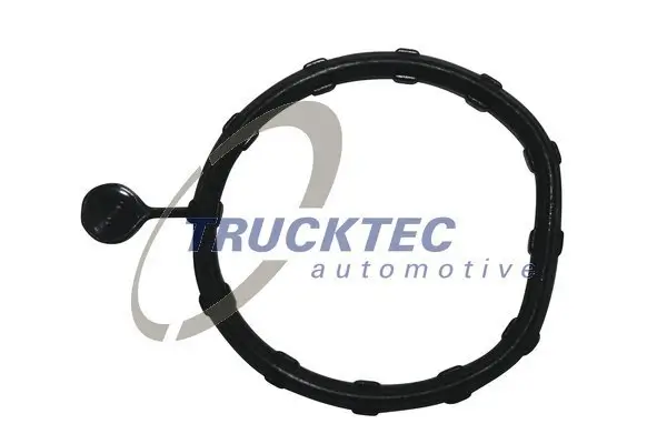 Dichtung, Wasserkasten TRUCKTEC AUTOMOTIVE 02.19.346