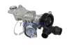 Wasserpumpe, Motork&uuml;hlung TRUCKTEC AUTOMOTIVE 02.19.359