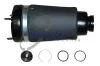 Luftfeder, Fahrwerk Vorderachse beidseitig TRUCKTEC AUTOMOTIVE 02.30.291