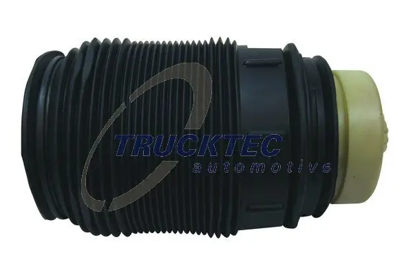 Luftfeder, Fahrwerk Hinterachse rechts TRUCKTEC AUTOMOTIVE 02.30.400