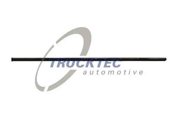Zier-/Schutzleiste, Tür oben hinten links TRUCKTEC AUTOMOTIVE 02.52.105