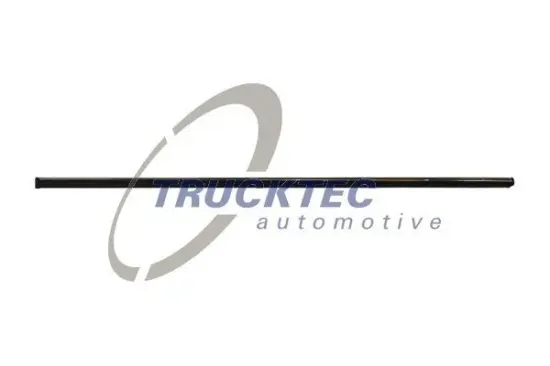 Zier-/Schutzleiste, Tür oben hinten links TRUCKTEC AUTOMOTIVE 02.52.105 Bild Zier-/Schutzleiste, Tür oben hinten links TRUCKTEC AUTOMOTIVE 02.52.105