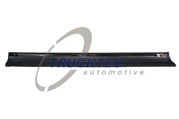 Zier-/Schutzleiste, Tür oben hinten links TRUCKTEC AUTOMOTIVE 02.52.109