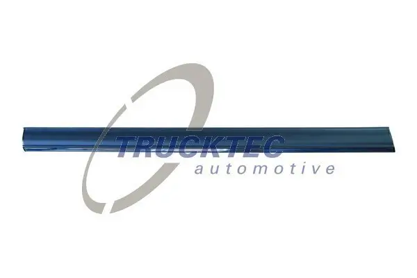 Zier-/Schutzleiste, Tür unten vorne links TRUCKTEC AUTOMOTIVE 02.52.132