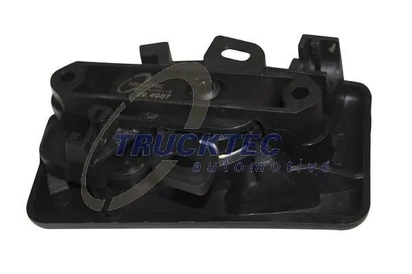 Türgriff, Innenausstattung links TRUCKTEC AUTOMOTIVE 02.53.214