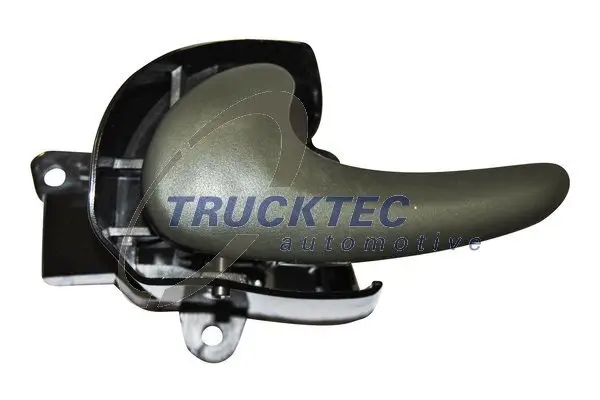 Türgriff, Innenausstattung vorne links TRUCKTEC AUTOMOTIVE 02.53.251