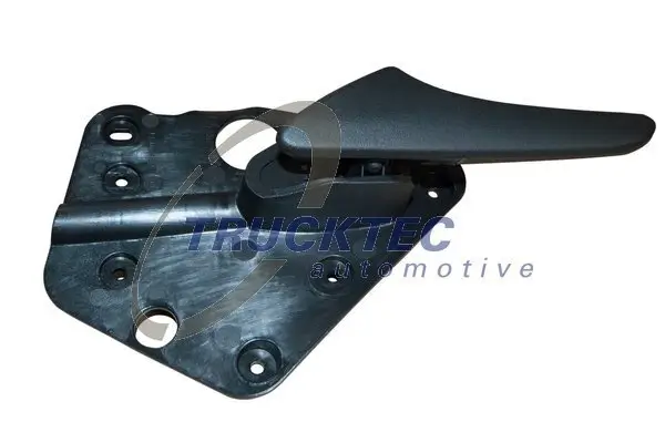 Türgriff, Innenausstattung vorne links TRUCKTEC AUTOMOTIVE 02.53.254