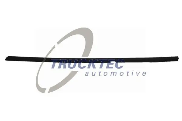 Zier-/Schutzleiste, Türscheibe außen hinten rechts TRUCKTEC AUTOMOTIVE 02.54.019