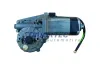 Elektromotor, Fensterheber 12 V rechts TRUCKTEC AUTOMOTIVE 02.58.025