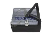 Verdampfer, Klimaanlage TRUCKTEC AUTOMOTIVE 02.59.101