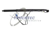 Elektromotor, Heckklappe rechts TRUCKTEC AUTOMOTIVE 02.62.003