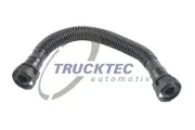 Spannrolle, Zahnriemen TRUCKTEC AUTOMOTIVE 07.12.019