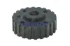 Zahnrad, Kurbelwelle TRUCKTEC AUTOMOTIVE 07.12.056