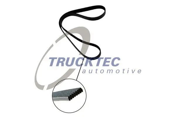 Keilrippenriemen TRUCKTEC AUTOMOTIVE 07.19.135