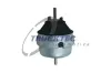 Lagerung, Motor vorne rechts TRUCKTEC AUTOMOTIVE 07.20.053