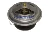 Thermostat, Kühlmittel TRUCKTEC AUTOMOTIVE 08.19.050