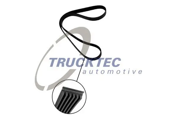 Keilrippenriemen TRUCKTEC AUTOMOTIVE 08.19.065