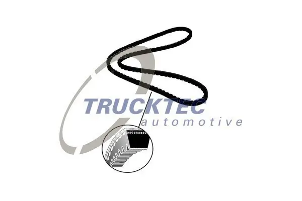 Keilriemen TRUCKTEC AUTOMOTIVE 08.19.100