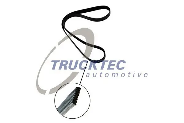 Keilrippenriemen TRUCKTEC AUTOMOTIVE 08.19.262