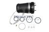 Luftfeder, Fahrwerk Vorderachse links TRUCKTEC AUTOMOTIVE 08.30.051