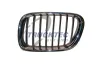 Kühlergitter links TRUCKTEC AUTOMOTIVE 08.62.225