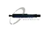 Gasfeder, Koffer-/Laderaum TRUCKTEC AUTOMOTIVE 08.62.819