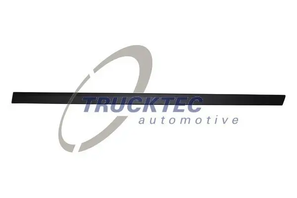 Zier-/Schutzleiste, Tür hinten links TRUCKTEC AUTOMOTIVE 08.62.898