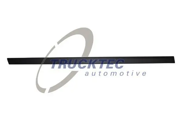 Zier-/Schutzleiste, Tür hinten rechts TRUCKTEC AUTOMOTIVE 08.62.901